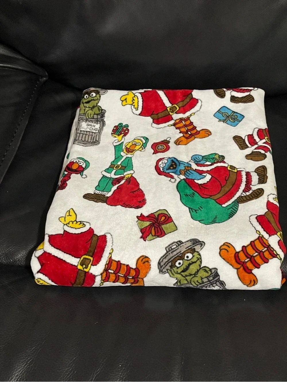 Christmas Sesame Street Bath Towel